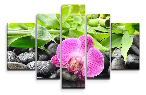 Sablio Obraz - 5-dílný Růžová orchidej - 125x90 cm