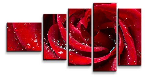 Sablio Obraz - 5-dílný Růže - 100x60 cm