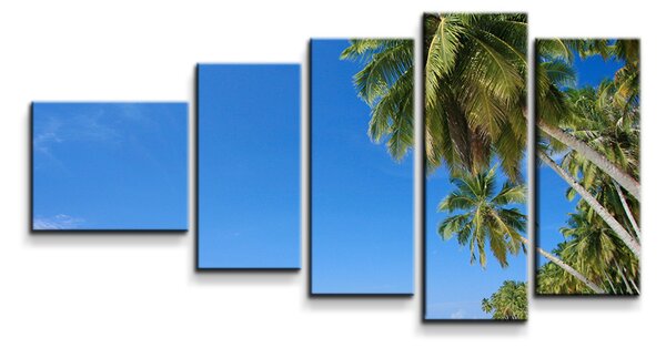 Sablio Obraz - 5-dílný Palmová pláž - 100x60 cm
