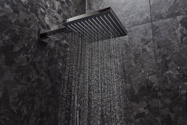 Hansgrohe Pulsify E - Hlavová sprcha 260 1jet + sprchové rameno 390 mm, chrom 24330000+24337000