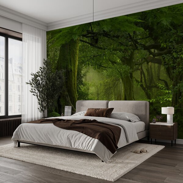 Fototapety Starověký les, Fototapety příroda, u56167 : uwalls.cz