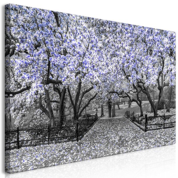 Obraz XXL Park Magnolia - fialový II