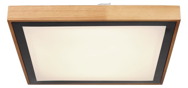 Globo 41764-24Q LED stropní svítidlo Bruno 1x24W | 1020lm | 3000-4500-6000K - opál, černá, hnědá