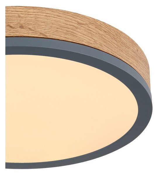Globo 416080WD1R LED stropní svítidlo Doro 1x12W | 950lm | 3000K - opál, černá, dřevo