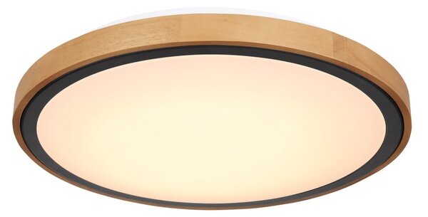 Globo 41764-24 LED stropní svítidlo Bruno 1x24W | 1000lm | 3000-4500-6000K - opál, černá, hnědá