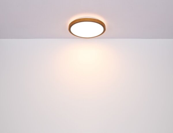 Globo 41764-24 LED stropní svítidlo Bruno 1x24W | 1000lm | 3000-4500-6000K - opál, černá, hnědá