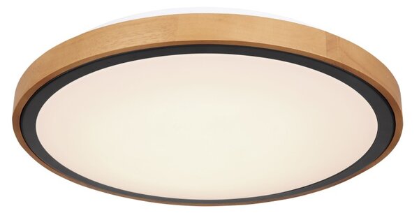 Globo 41764-24 LED stropní svítidlo Bruno 1x24W | 1000lm | 3000-4500-6000K - opál, černá, hnědá