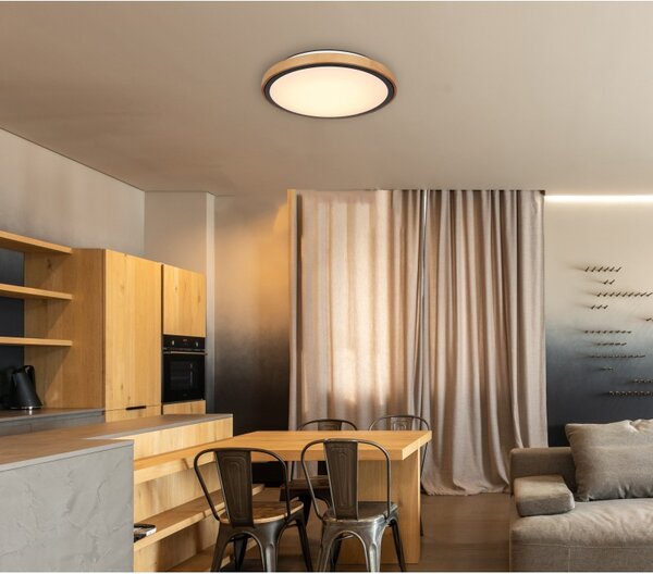 Globo 41764-24 LED stropní svítidlo Bruno 1x24W | 1000lm | 3000-4500-6000K - opál, černá, hnědá