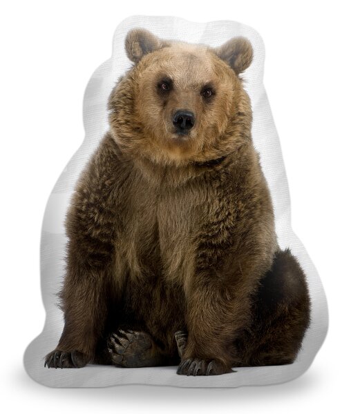 Polštář 3D SABLIO - Hnědý medvěd 42x50 cm