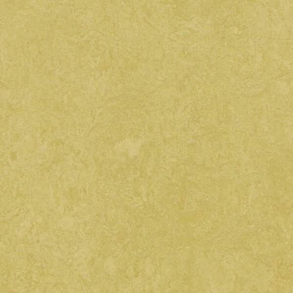 FORBO Marmoleum marbled fresco Mustard 3259 - 2 bm