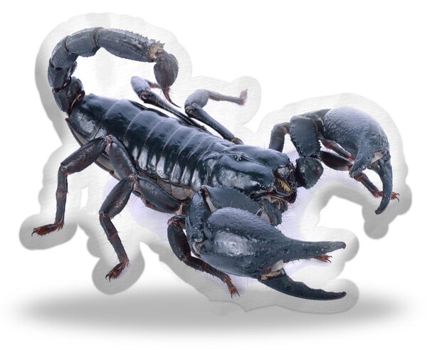 Sablio 3D polštář ve tvaru Škorpion