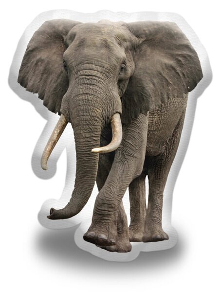 Sablio 3D polštář ve tvaru Slon africký