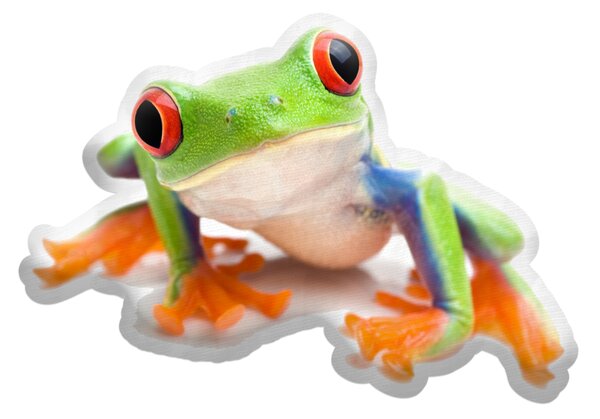 Sablio 3D polštář ve tvaru Žába