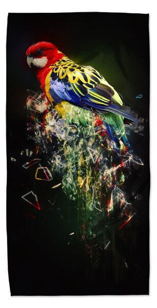 Ručník SABLIO - Barevný papoušek 30x50 cm