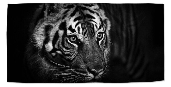 Sablio Ručník Černobílý tygr - 30x50 cm