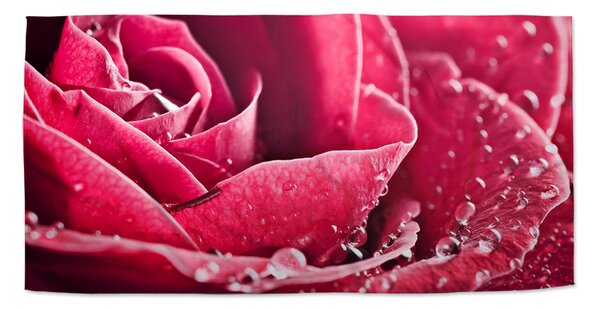 Sablio Ručník Detail růže - 70x140 cm