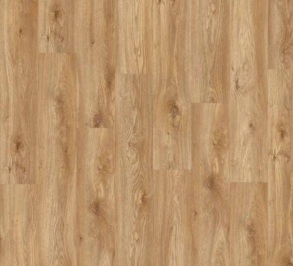Vinylová podlaha lepená Moduleo Roots 55 EIR Standard - Sierra Oak 58346