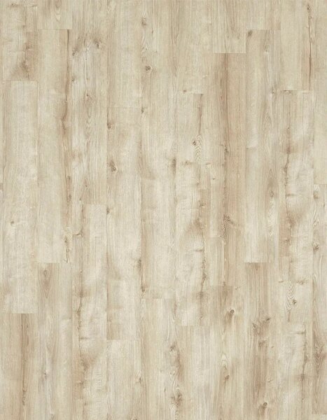 Vinylová podlaha lepená Moduleo Roots 55 EIR Standard - Galway Oak 87269