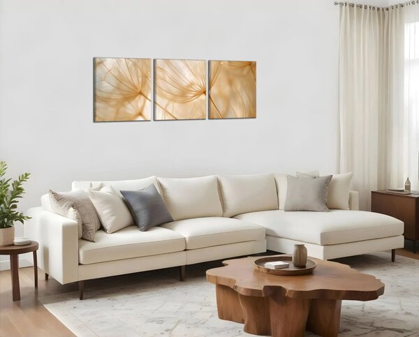 Obraz na plátně Jemné pampelišky