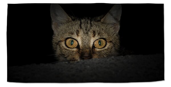 Ručník SABLIO - Kočka 30x50 cm