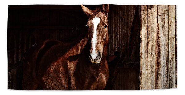 Ručník SABLIO - Kůň ve stáji 30x50 cm