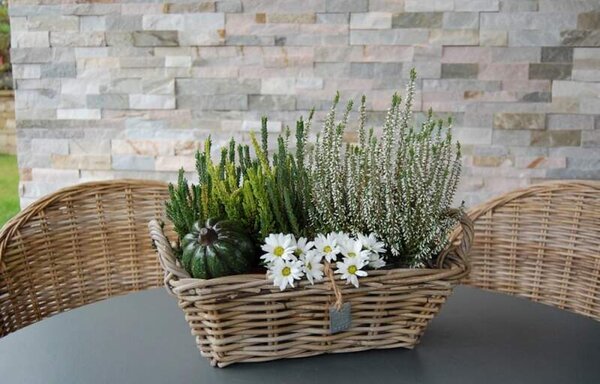 RATANOVÝ Košík s uchy CLASIC, Grey, 37x22x12 cm (Van der Leeden®)