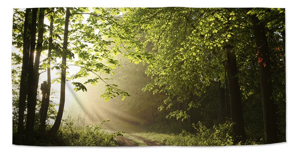 Ručník SABLIO - Lesní cesta 30x50 cm