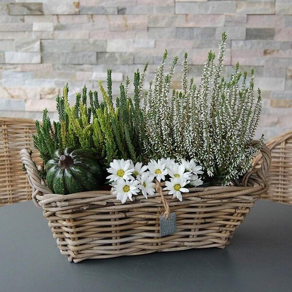 RATANOVÝ Košík s uchy CLASIC, Grey, 37x22x12 cm (Van der Leeden®)