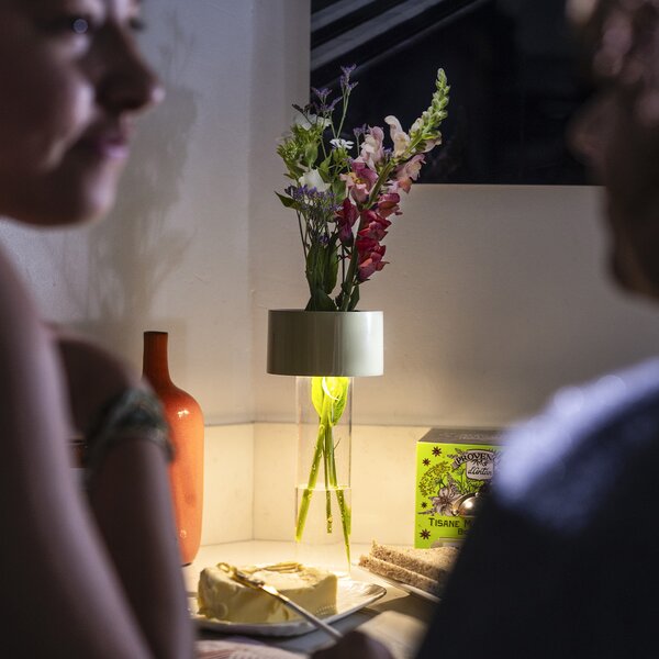 Foscarini designové stolní lampy Fleur