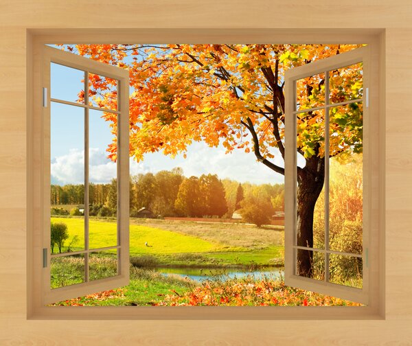 Fototapety Rostlina, malovat a nebe, Fototapety rozšiřující prostory, Fototapety okno, u56673 : uwalls.cz