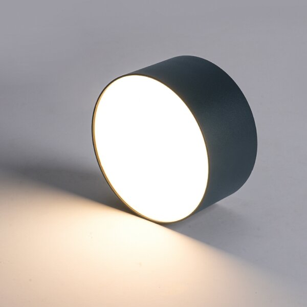 Brilagi - LED Koupelnové stropní svítidlo FORIS LED/20W/230V pr. 15 cm antr IP44