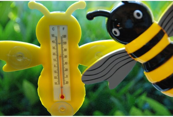 Venkovní teploměr Bee – Esschert Design