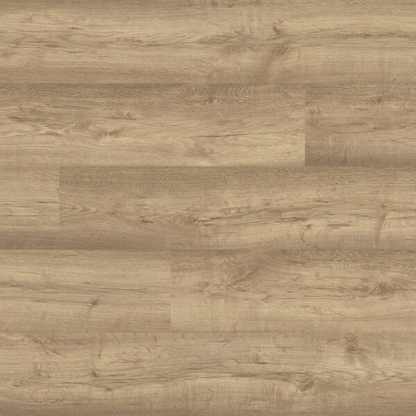 KAINDL Classic Touch 8.0 standard 37434 Dub YORK