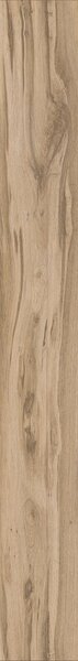 KAINDL Classic Touch 8.0 standard 37663 Dub TORTONA