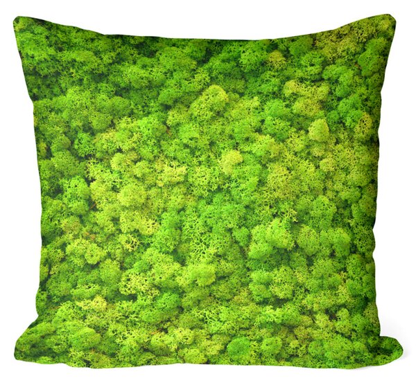 Polštář z mikrovlákna Lesní koberec - rostlinná kompozice s bohatým detailním mechem z mikrovlákna