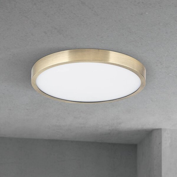 ORION LED stropní svítidlo Disc, antická mosazná barva, Ø 24 cm,, stmívatelný, Bronz / starožitná mosaz, Obývací pokoj / jídelna, Hliník, Moderní