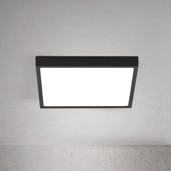 ORION LED stropní svítidlo Disc, černé, délka 24 cm, kov, stmívatelný, Černá, Obývací pokoj / jídelna, Hliník, Moderní