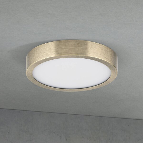 ORION LED stropní svítidlo Disc, antická mosazná barva, Ø 14 cm,, stmívatelný, Bronz / starožitná mosaz, Obývací pokoj / jídelna, Hliník, Moderní