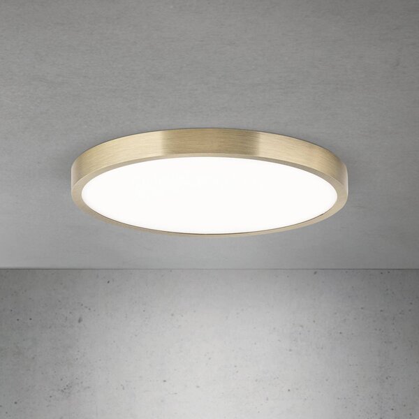 ORION LED stropní svítidlo Disc, antická mosazná barva, Ø 28 cm,, stmívatelný, Bronz / starožitná mosaz, Obývací pokoj / jídelna, Hliník, Moderní