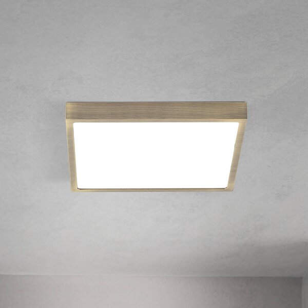 ORION LED stropní svítidlo Disc, antická mosazná barva, délka 24 cm,, stmívatelný, Bronz / starožitná mosaz, Obývací pokoj / jídelna, Hliník, Moderní