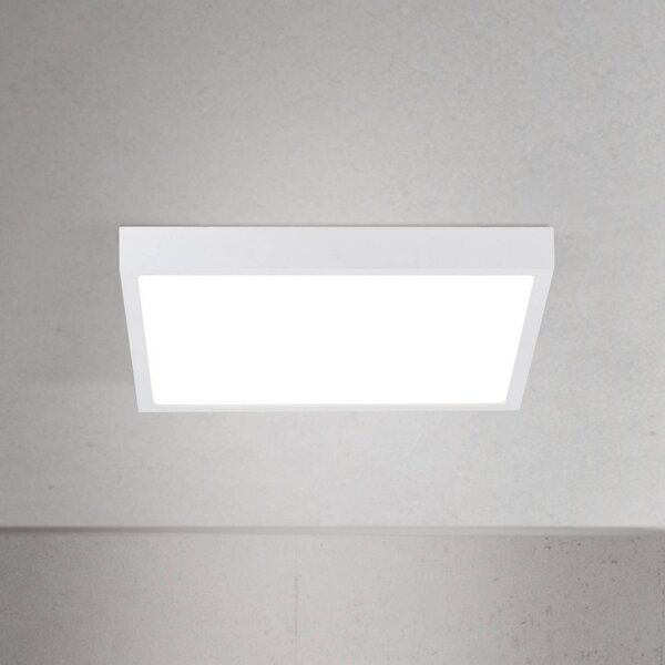 ORION LED stropní svítidlo Disc, bílé, délka 24 cm, kov, stmívatelný, Bílá / opál, Obývací pokoj / jídelna, Hliník, Moderní