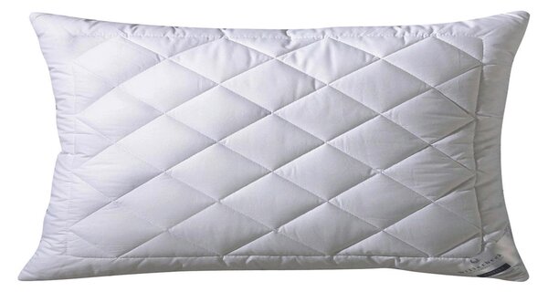 POLŠTÁŘ POD HLAVU, 40/80 cm Billerbeck - Polštáře pod hlavu, Online Only