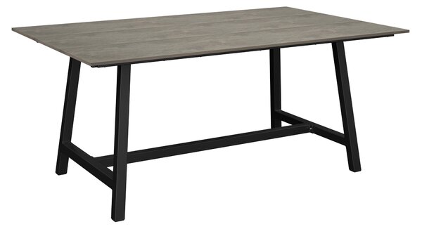 ZAHRADNÍ STŮL, kov, plast, 160/100/68 cm Amatio - Venkovní stoly