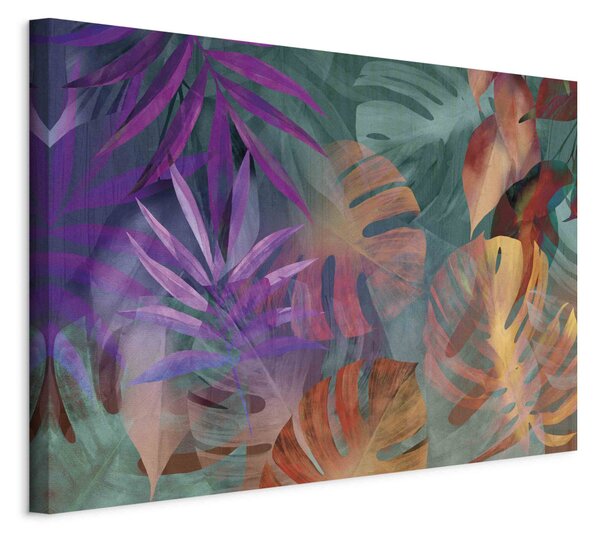 Obraz XXL Barevná příroda - kompozice energetických listů palmy a monstery
