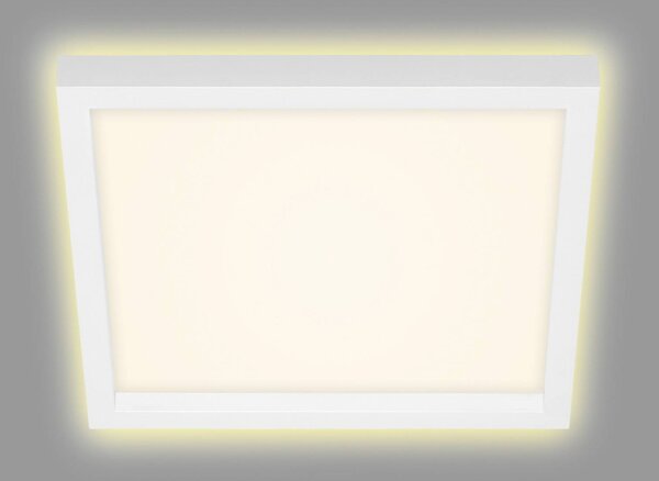 LED stropní světlo 7362, 29 x 29 cm, bílá