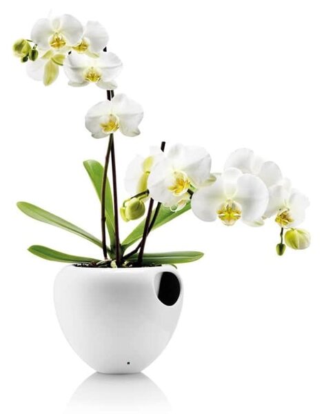 Samozavlažovací obal na květináč Orchid Pot White