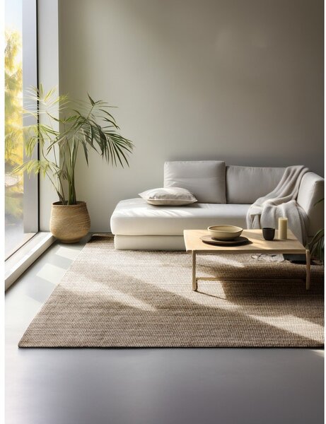 Taupe jutový koberec 80x150 cm Bouclé – Hanse Home