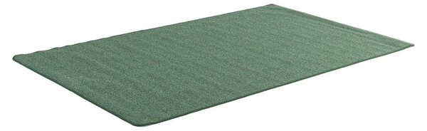 AJ Produkty Koberec MAX, 1500x2500 mm, zelený