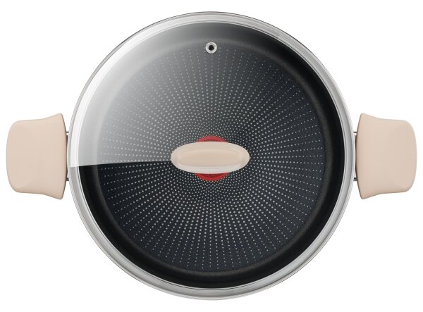 Tefal - Hrnec s poklicí RESPECT pr. 24 cm