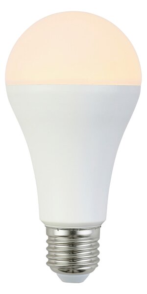 LED ŽÁROVKA E27 Boxxx - Žárovky